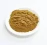 Сухой экстракт ревня (корень) (лат. Rheum officinale Baill)